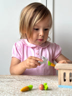Rabbit Hutch Pet Set