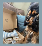 Dogs Pampering/Grooming Gift Set - Choice of Fabrics for Toy Bone