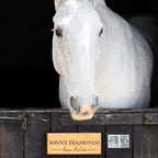 Equine QR Mount