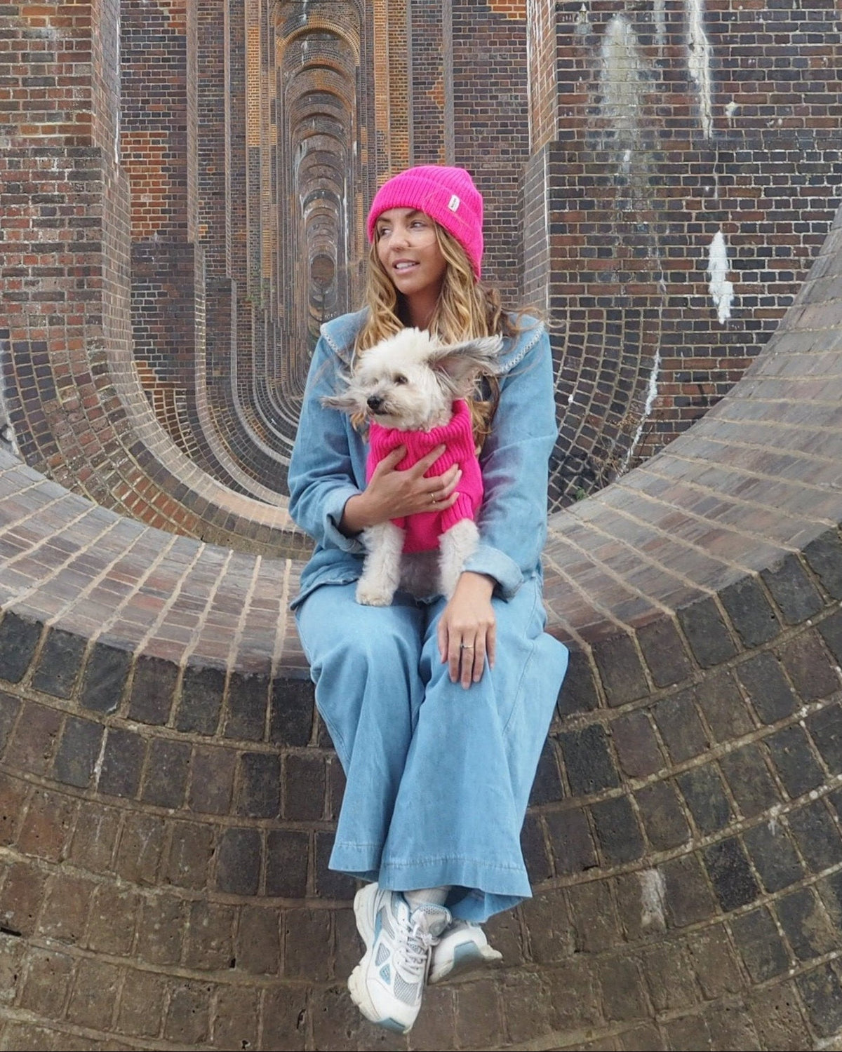 Fandango Pink British Wool Dog Jumper