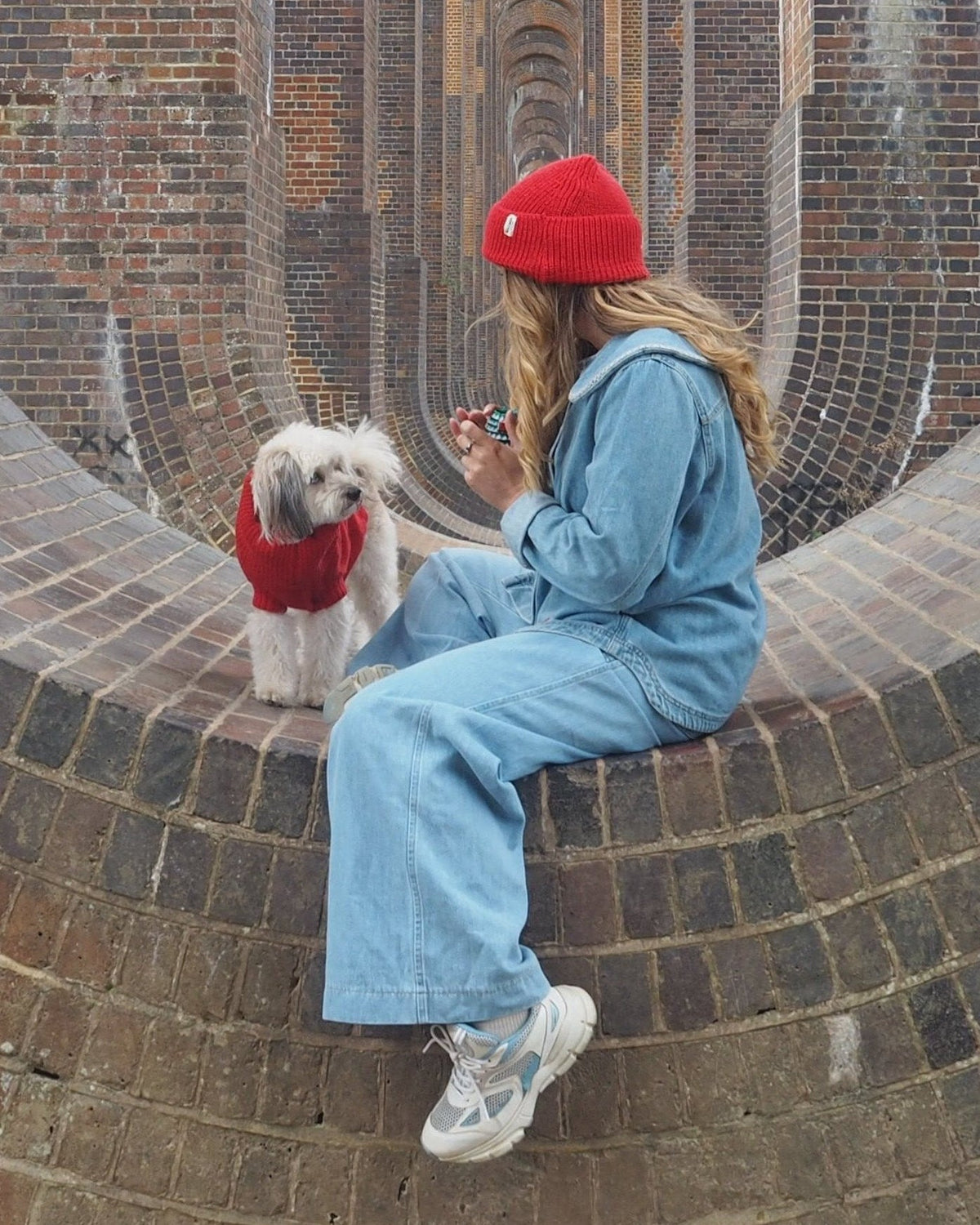 Cherry Red British Wool Dog Jumper