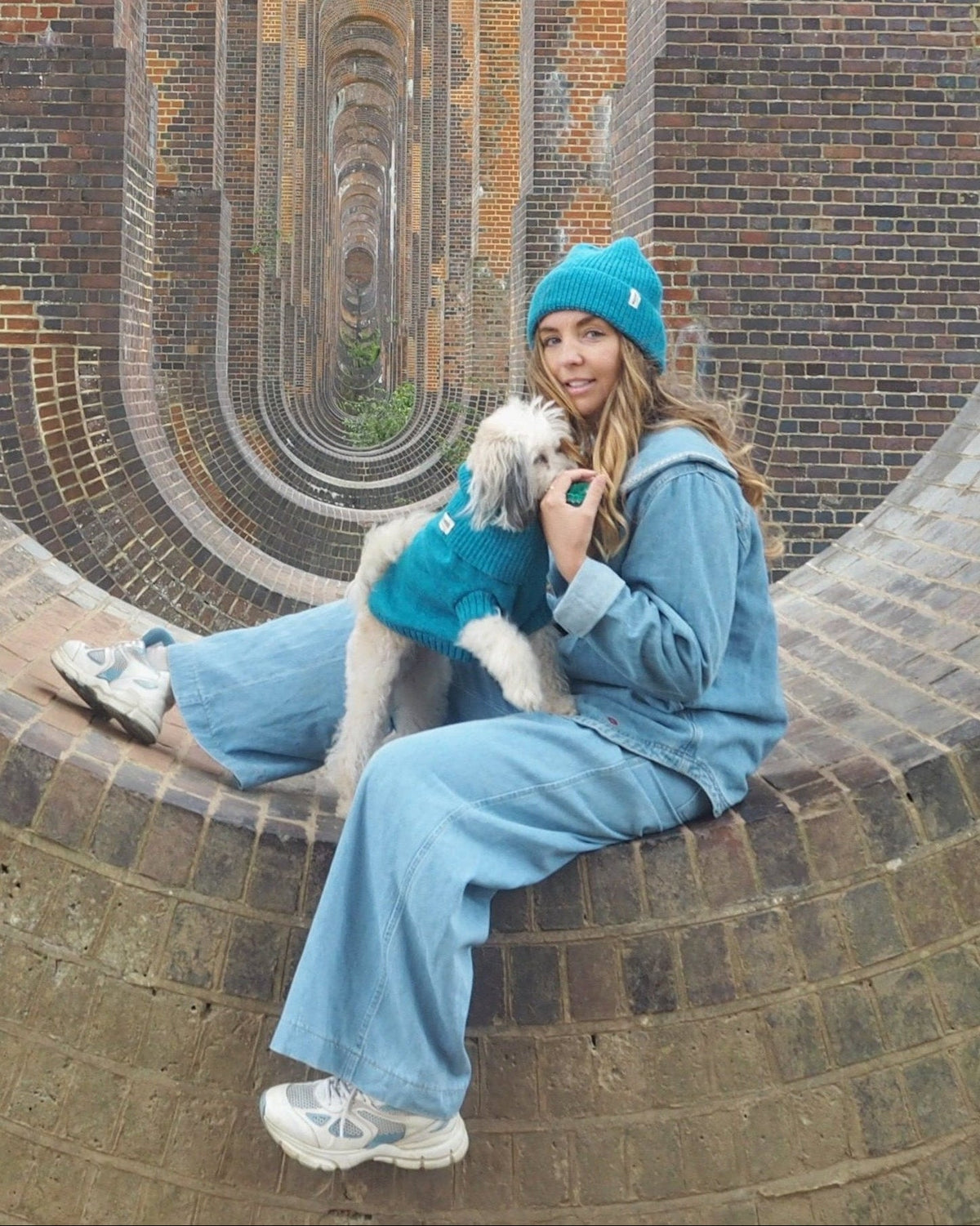Cerulean Blue British Wool Dog Jumper