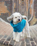 Cerulean Blue British Wool Dog Jumper
