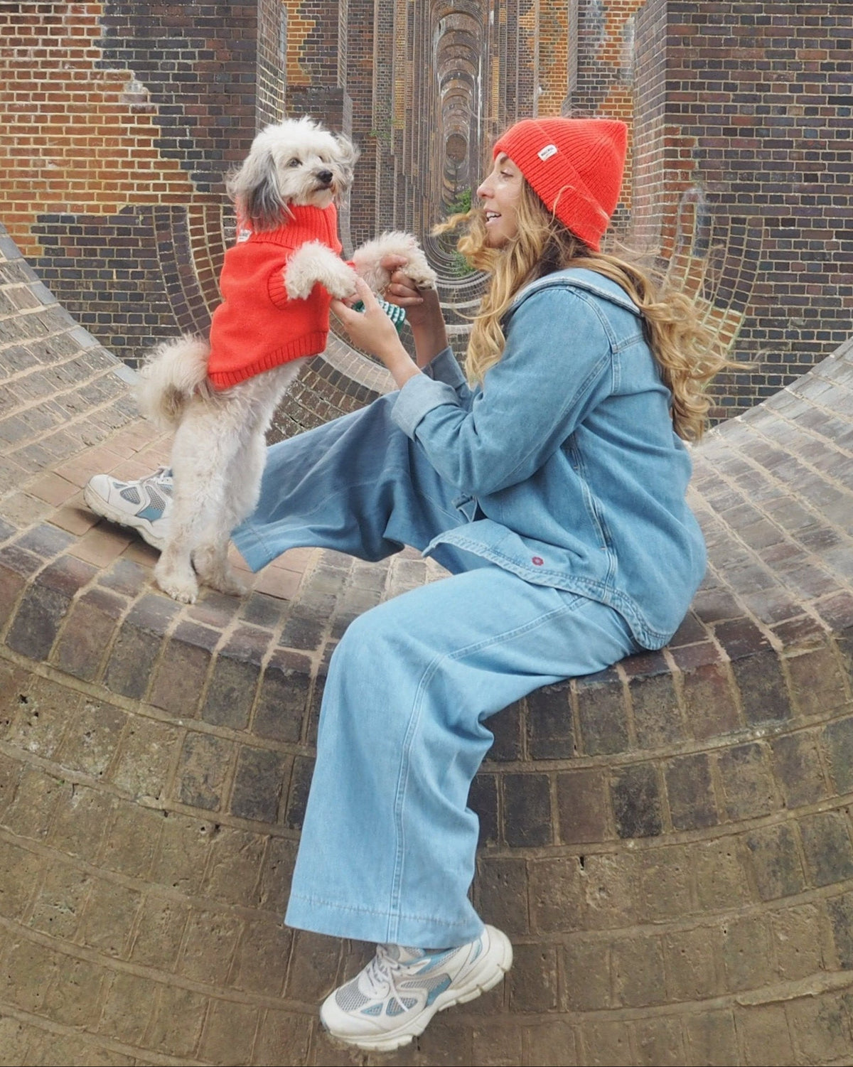 Lava Orange British Wool Dog Jumper