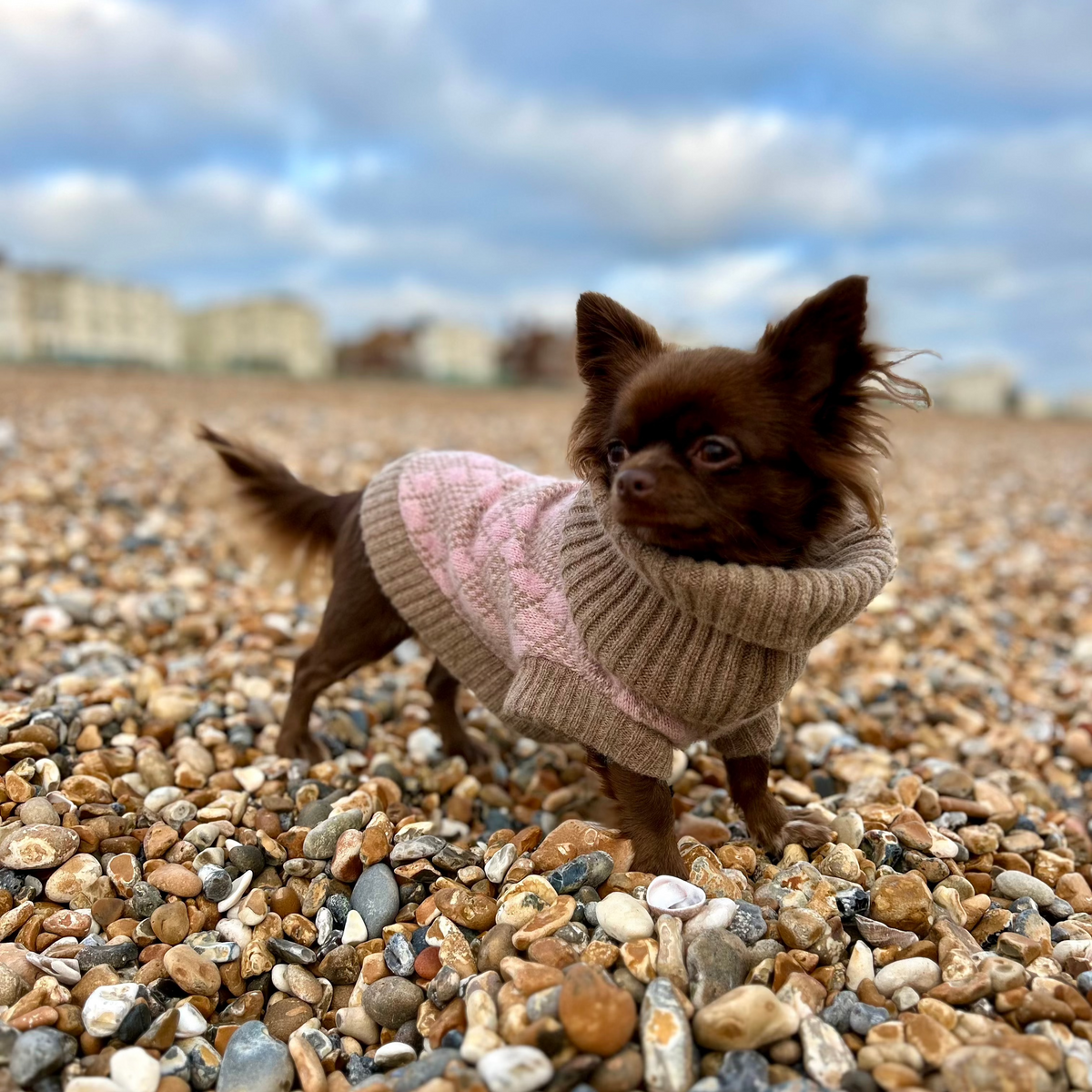 Pink Argyle Dog Jumper In Merino Lambswool
