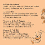 Joint & Mobility Dog Treats