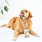 Itchy & Scratchy Dog Treats