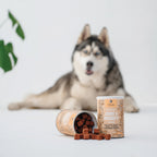 Joint & Mobility Dog Treats