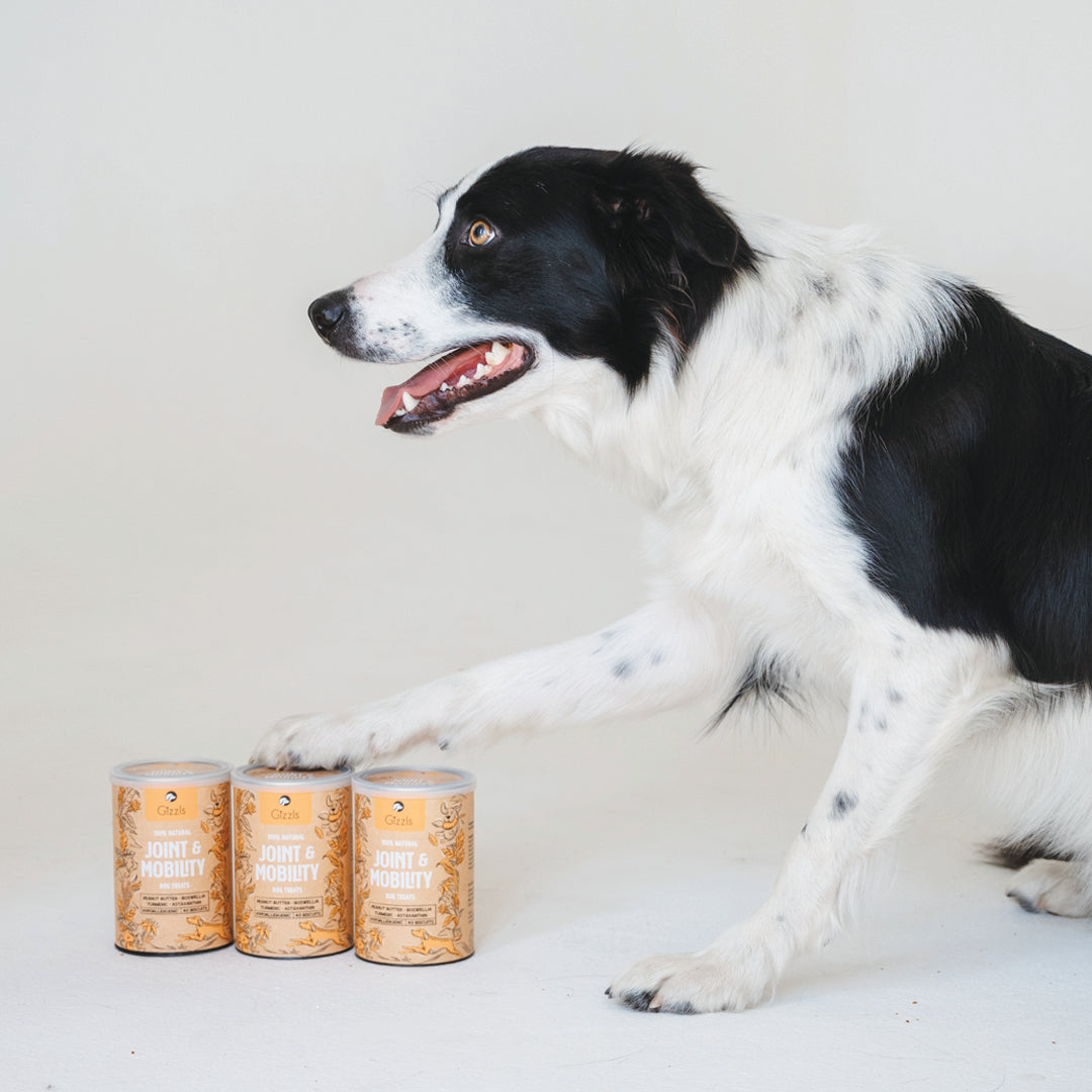 Joint & Mobility Dog Treats