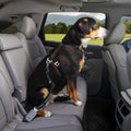 Kurgo Direct to Seatbelt Swivel Tether