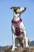 Kurgo Journey Air Harness Red
