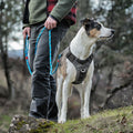 Kurgo Journey Air Harness Black/gargoyle Grey