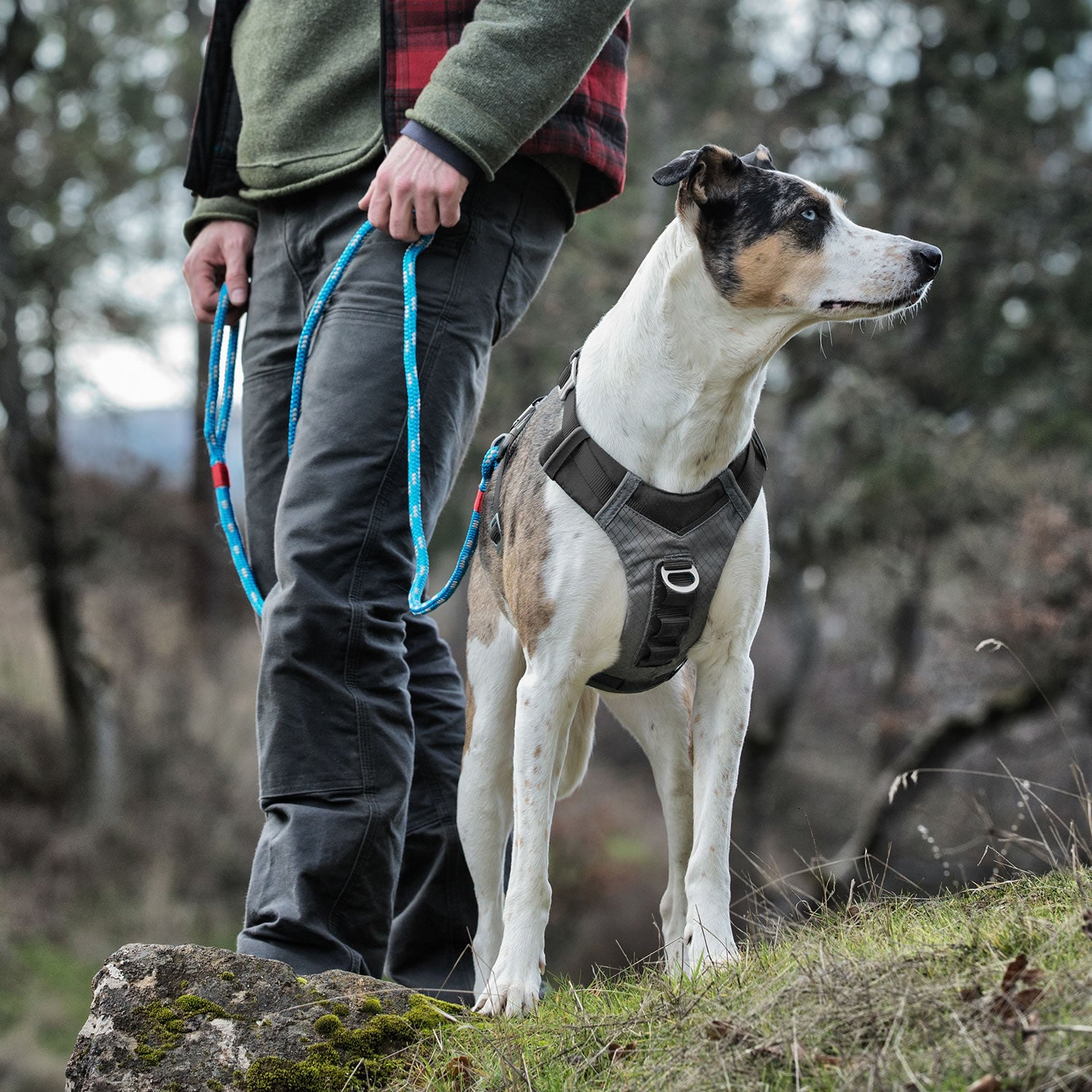 Kurgo Journey Air Harness Black/gargoyle Grey