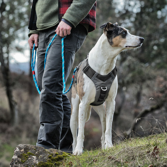 Kurgo Journey Air Harness Black/gargoyle Grey