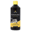 Lincoln Fungiklenz