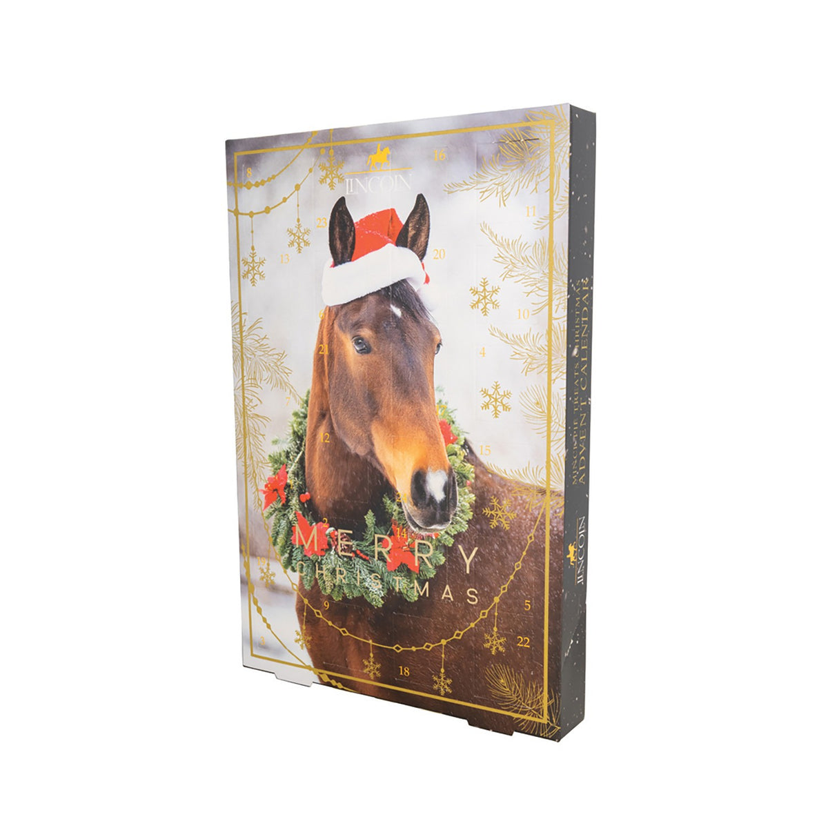 Lincoln Mince Pie Treats Advent Calendar