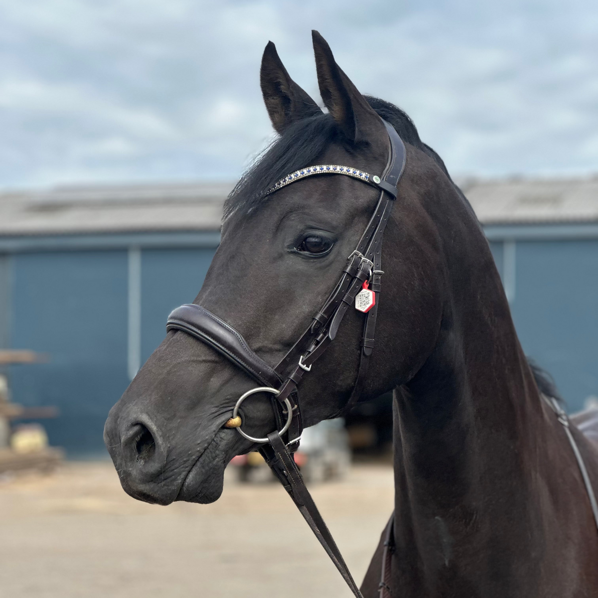 Equine Emergency Tags
