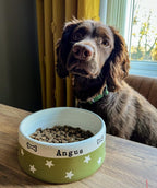 Medium Dog Bowls