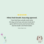 Minty Fresh Big Dog Treats (200g)