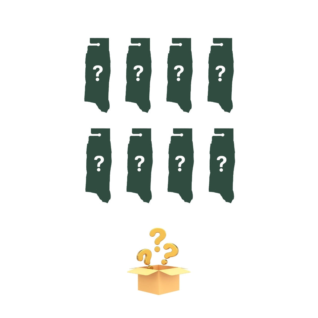 Summer Mystery Bundle of 8!