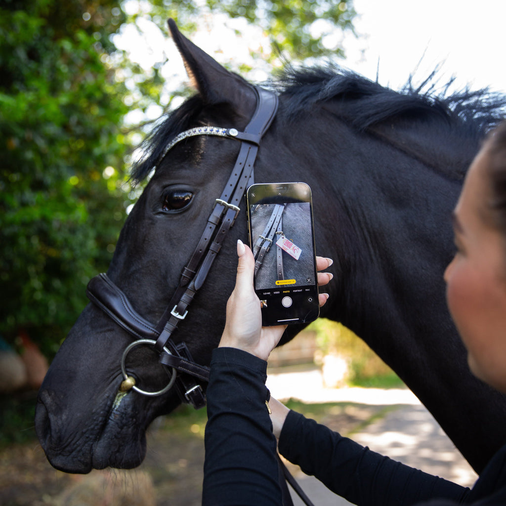 Equine Emergency Tags