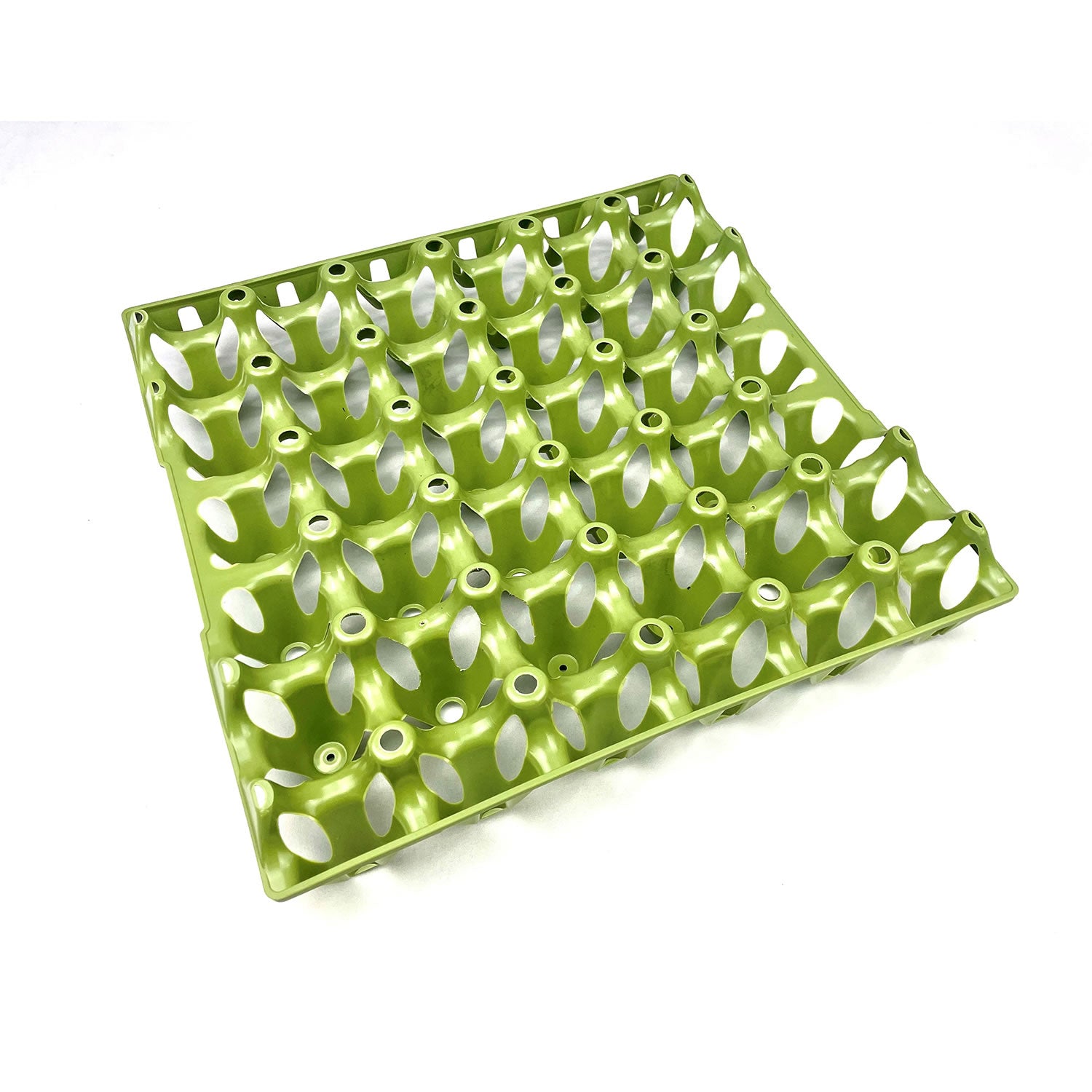 Bec Egg Tray Recycled Green