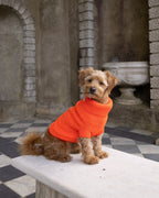 Lava Orange British Wool Dog Jumper