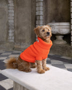 Lava Orange British Wool Dog Jumper