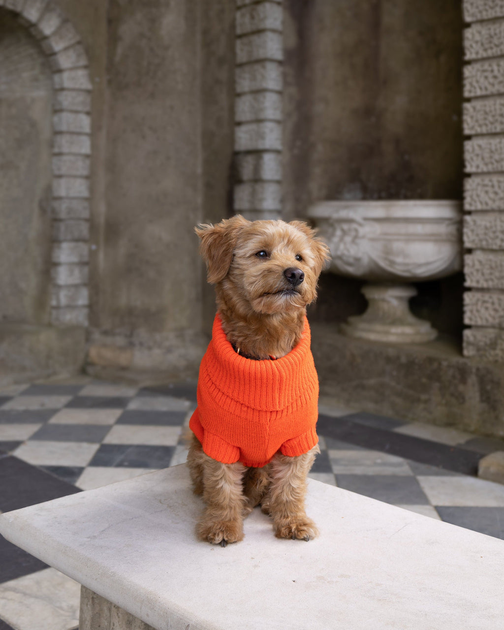 Lava Orange British Wool Dog Jumper