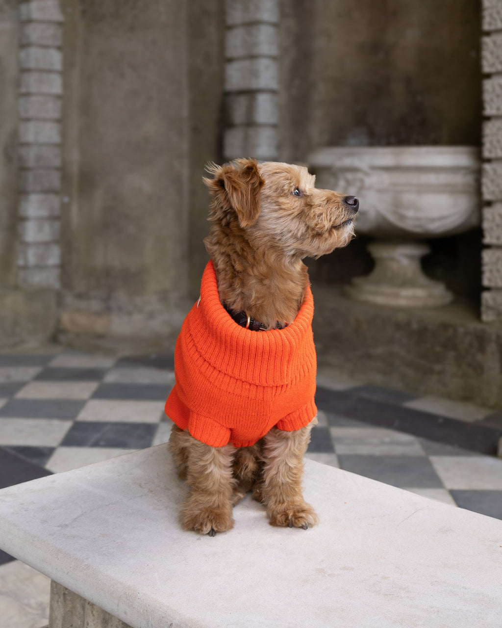 Lava Orange British Wool Dog Jumper