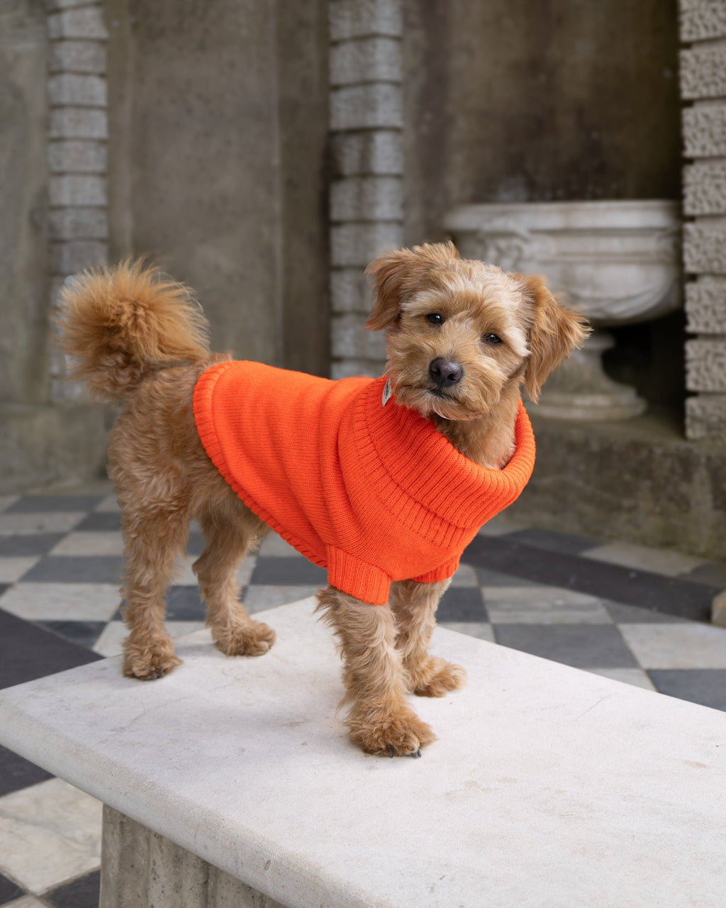 Lava Orange British Wool Dog Jumper