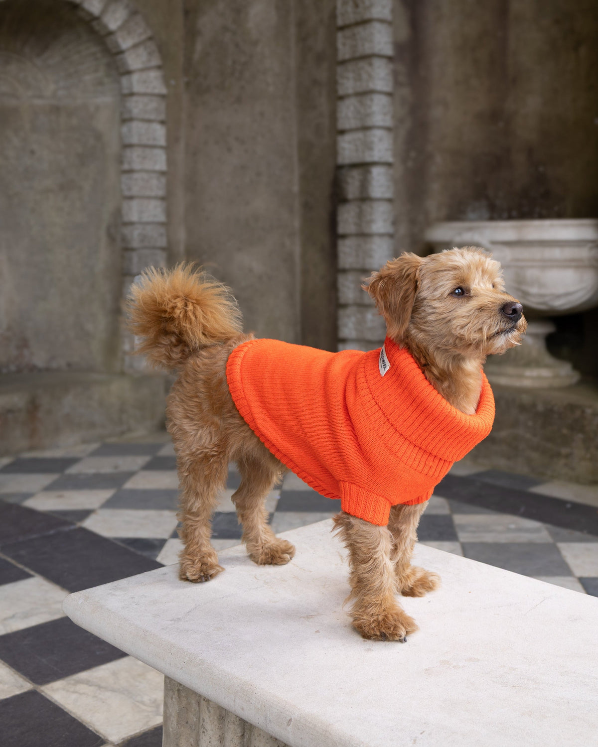 Lava Orange British Wool Dog Jumper
