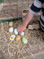 Wooden Eggs