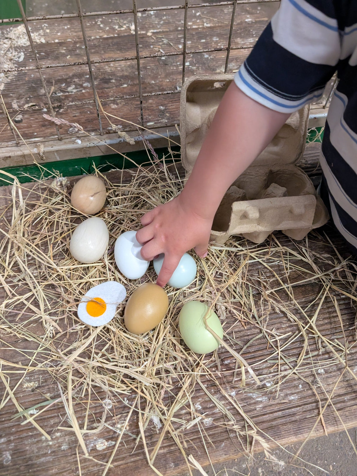Wooden Eggs
