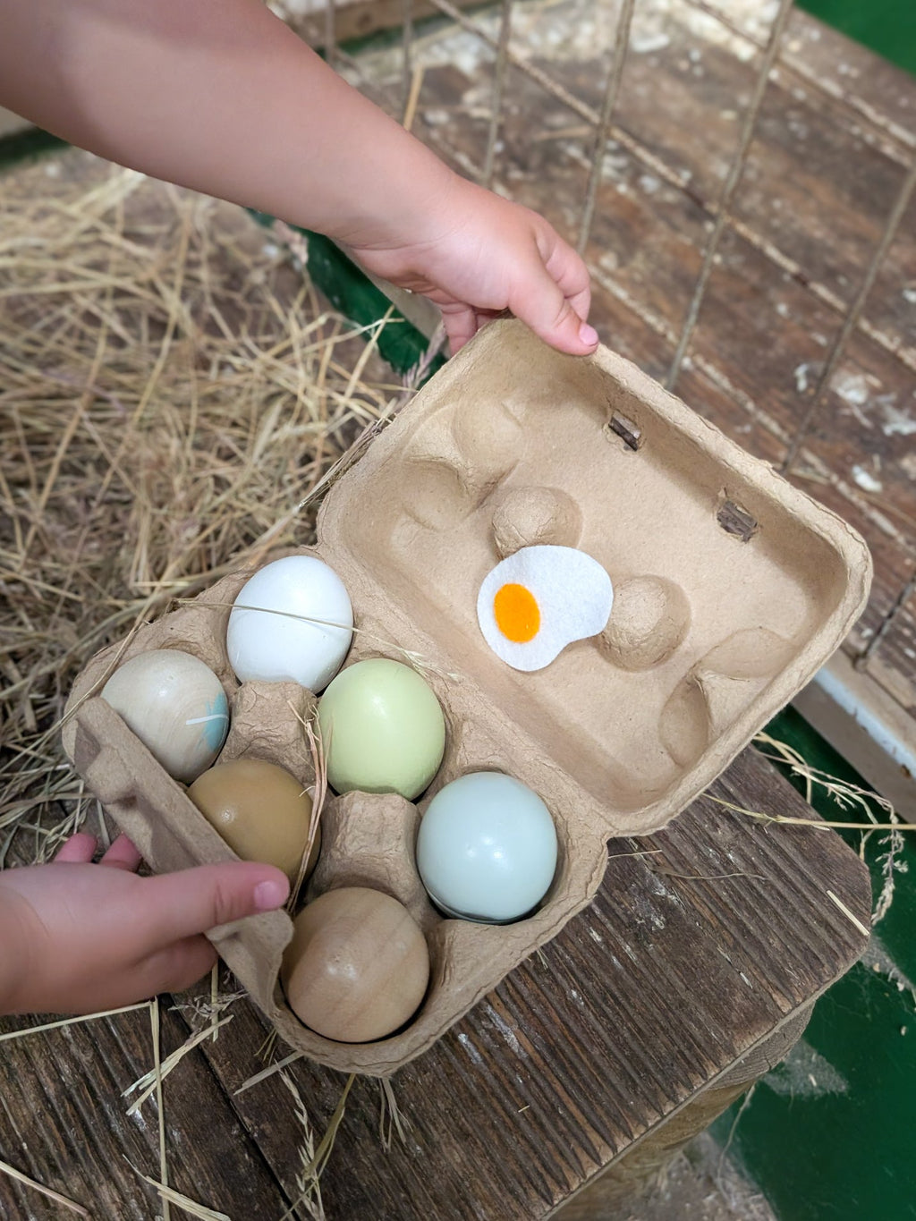 Wooden Eggs