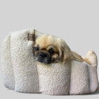 Luxury Bouclé Dog Bed with Removable Cushion – Handmade in Devon