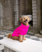 Fandango Pink British Wool Dog Jumper