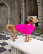 Fandango Pink British Wool Dog Jumper
