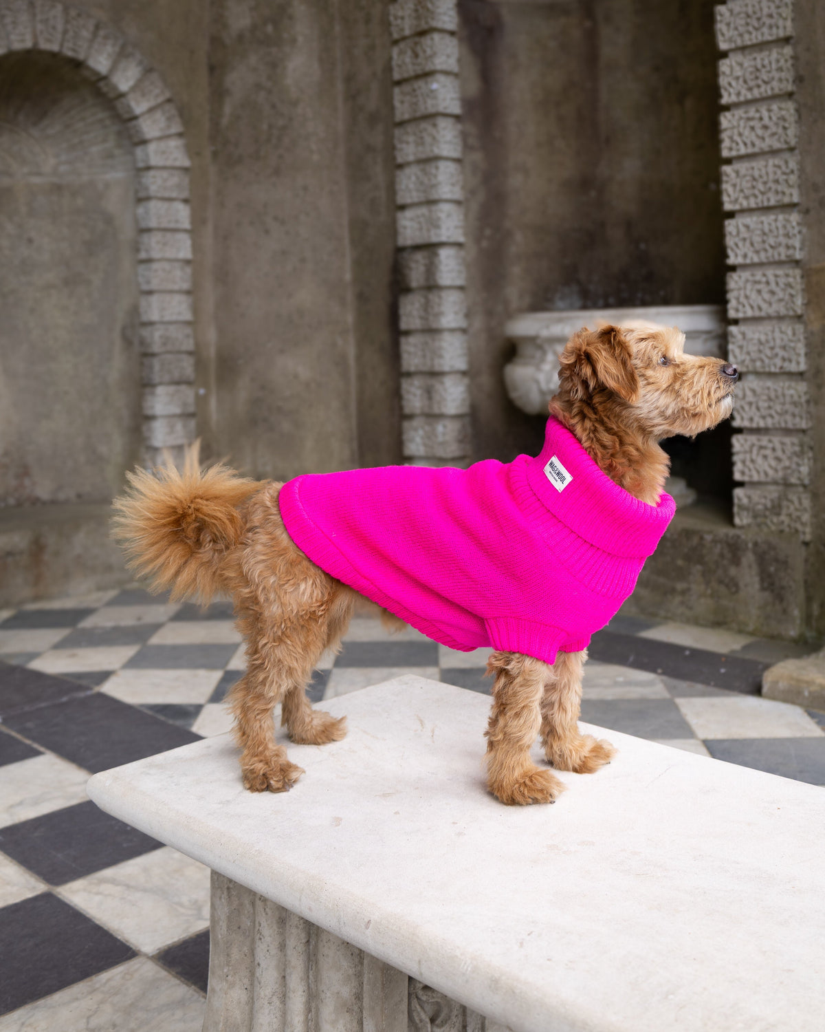 Fandango Pink British Wool Dog Jumper