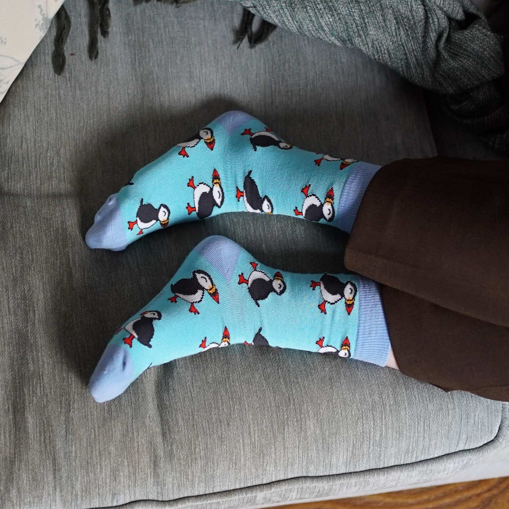 The Seabird Bundle of 3