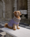Purple Dog Jumper in Pure Merino Lambswool