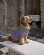 Purple Dog Jumper in Pure Merino Lambswool
