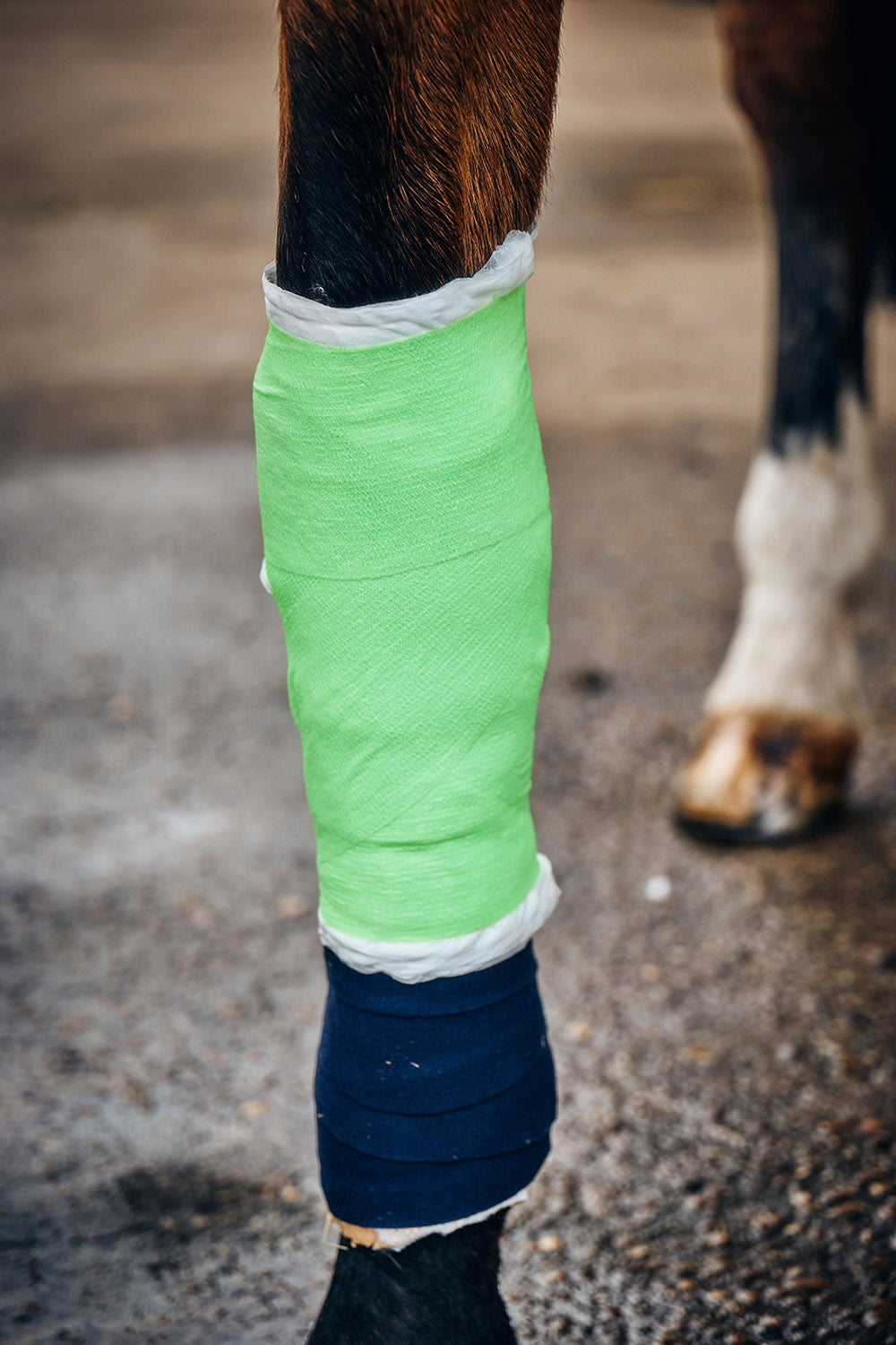 Robinsons Healthcare Equiwrap Neon Bandage