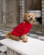 Cherry Red British Wool Dog Jumper