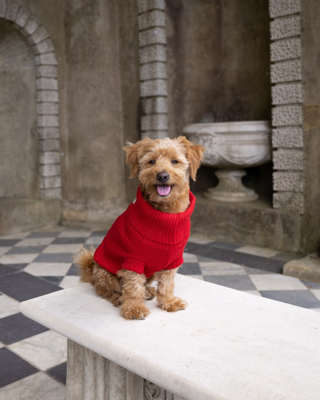Cherry Red British Wool Dog Jumper