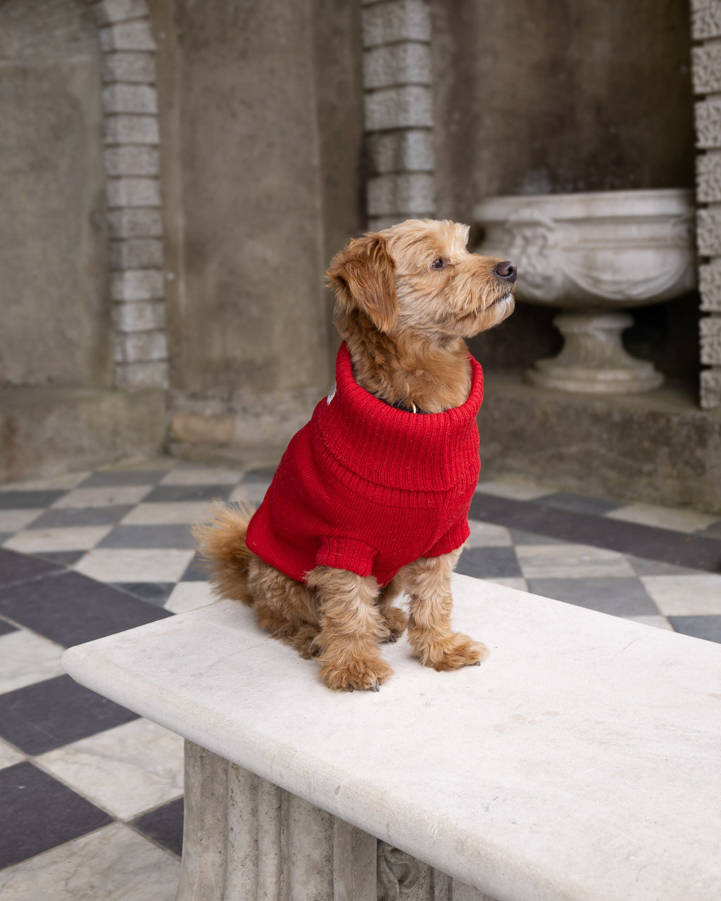 Cherry Red British Wool Dog Jumper