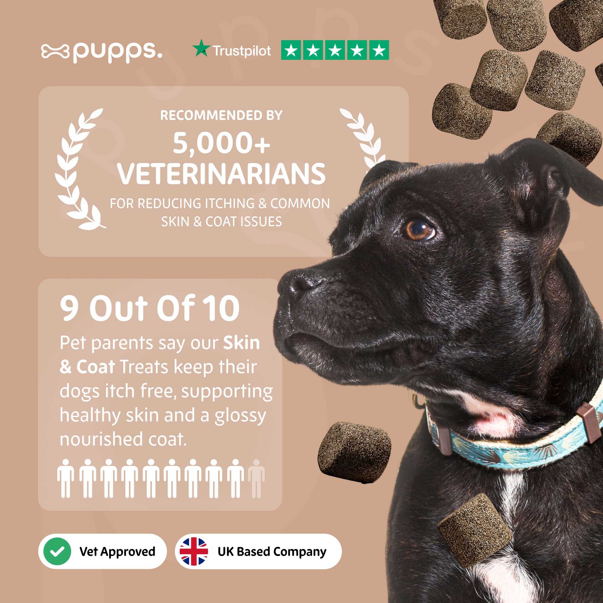 Skin & Coat Treats