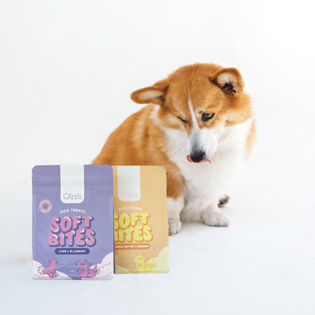 Ostrich Liver & Blueberry Soft Dog Treats (300g)