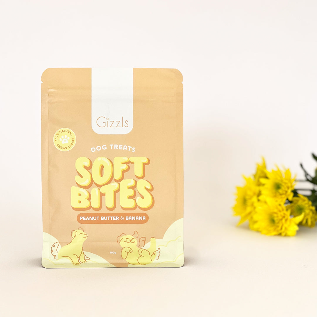 Soft Bites Treat Bundle (300g)