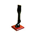 Stubbs Horse Leg